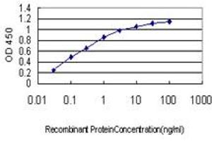 Detection limit for recombinant GST tagged CDX4 is approximately 0. (CDX4 Antikörper  (AA 71-170))