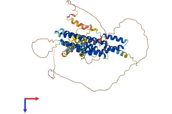 FAM114A2 Protein (AA 1-505) (His tag)