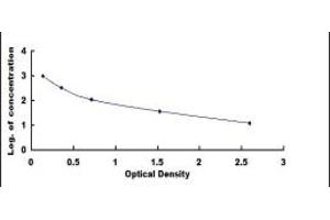 FGF7 ELISA Kit