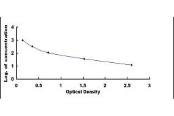 FGF7 ELISA Kit