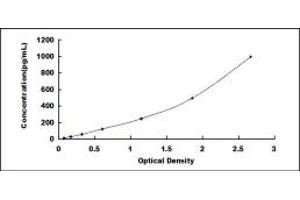 Typical standard curve (GLUL ELISA Kit)