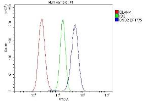 Flow Cytometry analysis of RH35 cells using anti-DSG2 antibody (ABIN7600803).