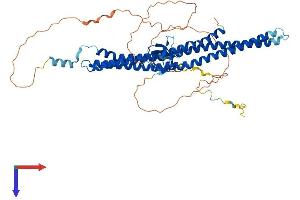 BAIAP2L1 Protein (AA 1-511) (His tag)