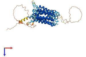 AlphaFold protein structure predicition of Mouse Recombinant Mfsd4a Protein, UniprotID Q6PDC8 (MFSD4 Protein (AA 1-510) (His tag))
