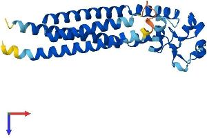 Tetraspanin 7 Protein (TSPAN7) (AA 1-249) (His tag)
