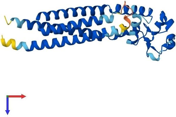 Tetraspanin 7 Protein (TSPAN7) (AA 1-249) (His tag)