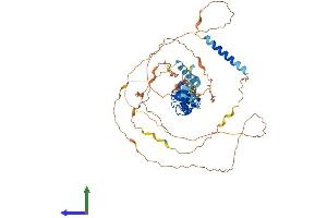 Protein Structure (PS) image for Lipoma-preferred partner (LPP) (AA 1-612) protein (His tag) (ABIN7554453)