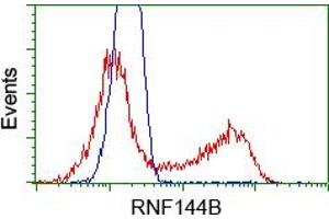 HEK293T cells transfected with either RC209302 overexpress plasmid(Red) or empty vector control plasmid(Blue) were immunostained by anti-RNF144B antibody(TA500711), and then analyzed by flow cytometry. (RNF144B Antikörper  (AA 1-256))