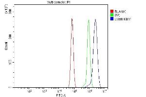 Flow Cytometry analysis of RH35 cells using anti-LSM8 antibody (ABIN7599578). (NAA38 Antikörper  (AA 1-96))