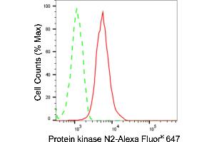 Flow cytometric analysis of Protein kinase N2 expression in HepG2 cells using Protein kinase N2 antibody (ABIN7800006), 1:2,000). (Rekombinanter PKN2 Antikörper)