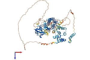 IRAK2 Protein (AA 1-622) (His tag)