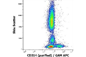 Flow cytometry surface staining pattern of human peripheral blood stained using anti-human CD314 (1D11) purified antibody (concentration in sample 4 μg/mL) GAM APC.