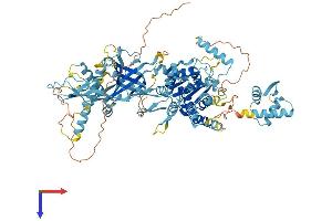MCM8 Protein (AA 1-833) (His tag)
