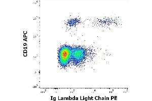 Flow cytometry multicolor surface staining of human lymphocytes stained using anti-human Ig Lambda Light Chain (1-155-2) PE antibody (10 μL reagent / 100 μL of peripheral whole blood) and anti-human CD19 (LT19) APC antibody (10 μL reagent / 100 μL of peripheral whole blood). (Lambda-IgLC Antikörper  (PE))