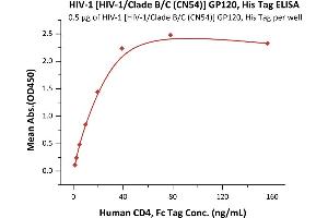 Immobilized HIV-1 [HIV-1/Clade B/C (CN54)] GP120, His Tag (7) at 5 μg/mL (100 μL/well) can bind Human CD4, Fc Tag (ABIN2180789,ABIN2180788) with a linear range of 1-39 ng/mL (QC tested).