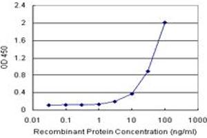GYG2 (Human) Matched Antibody Pair
