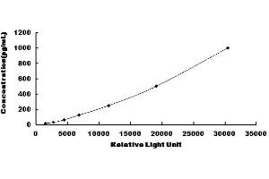 Typical standard curve (IFNA CLIA Kit)