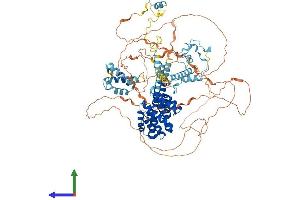 AlphaFold protein structure predicition of Mouse Recombinant Cherp Protein, UniprotID Q8CGZ0