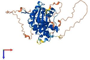 STRADB Protein (AA 1-418) (His tag)
