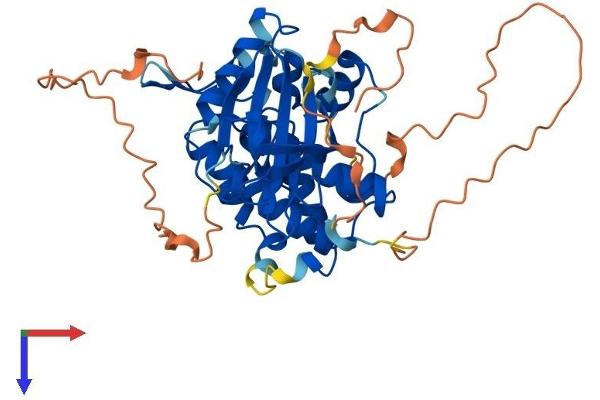STRADB Protein (AA 1-418) (His tag)