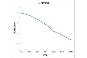 ELISA image for anti-G Protein-Coupled Receptor 15 (GPR15) (AA 51-150) antibody (ABIN702835)