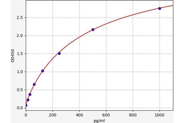 CDC42 ELISA Kit