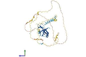 Protein Structure (PS) image for B-Cell Linker (BLNK) (AA 1-457) protein (His tag) (ABIN7565129)