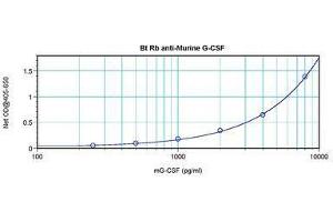 Image no. 2 for anti-Colony Stimulating Factor 3 (Granulocyte) (CSF3) antibody (Biotin) (ABIN465770) (G-CSF Antikörper  (Biotin))