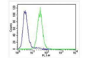 Overlay histogram showing U-87 MG cells stained with Antibody (green line).