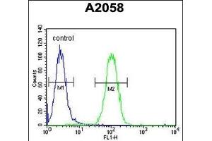 G4 Antibody (Center ) (ABIN6243193 and ABIN6578923) flow cytometric analysis of  cells (right histogram) compared to a negative control cell (left histogram). (PA2G4 Antikörper  (AA 228-255))