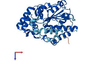 SULT6B1 Protein (AA 1-303) (His tag)