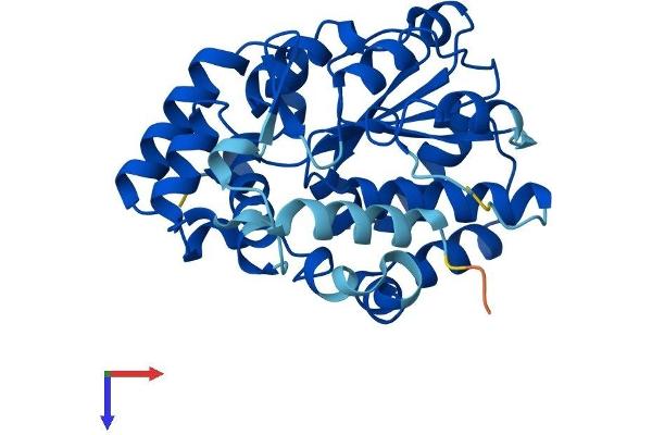 SULT6B1 Protein (AA 1-303) (His tag)