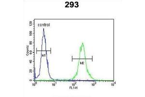 Flow Cytometry (FACS) image for anti-Melanocortin 2 Receptor Accessory Protein (MRAP) antibody (ABIN3004408)