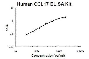Human CCL17/TARC PicoKine ELISA Kit standard curve (CCL17 ELISA Kit)