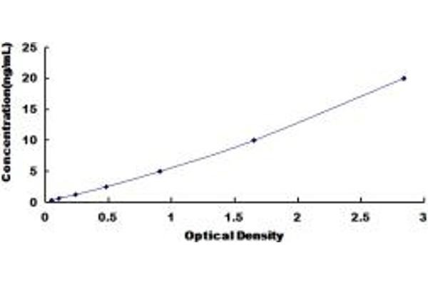 STX2 ELISA Kit