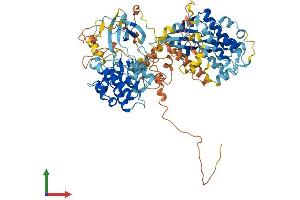 Protein Structure (PS) image for Ribosomal Protein S6 Kinase A4 (RPS6KA4) (AA 1-773) protein (His tag) (ABIN7565294)