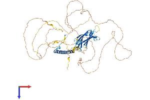 RAB11FIP5 Protein (AA 1-645) (His tag)