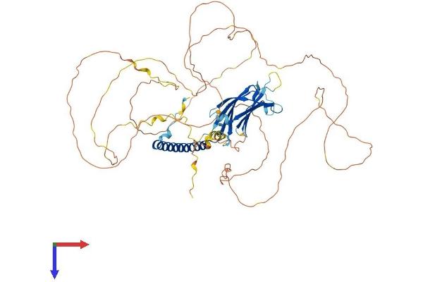 RAB11FIP5 Protein (AA 1-645) (His tag)