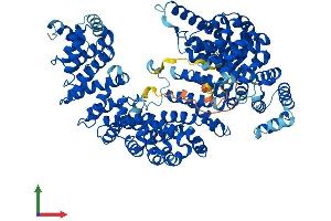 Protein Structure (PS) image for Transportin 2 (TNPO2) (AA 1-897) protein (His tag) (ABIN7555833)