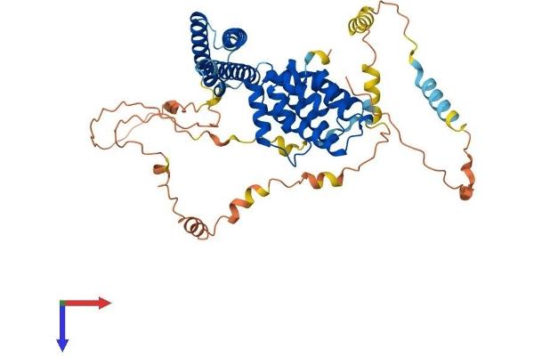 TOM1 Protein (AA 1-492) (His tag)