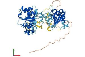 Protein Structure (PS) image for DEAD (Asp-Glu-Ala-Asp) Box Polypeptide 25 (DDX25) (AA 1-484) protein (His tag) (ABIN7561773)