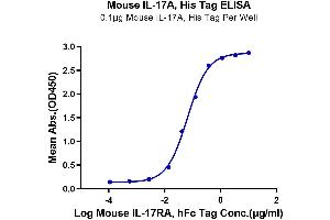 ELISA image for Interleukin 17A (IL17A) (AA 26-158) protein (His-Avi Tag) (ABIN7274995)