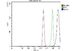 Flow Cytometry analysis of MCF-7 cells using anti-HCN4 antibody (ABIN7602652). (HCN4 Antikörper  (AA 909-1203))