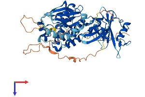 FRK Protein (AA 1-512) (His tag)