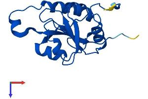 FUOM Protein (AA 1-153) (His tag)