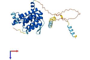 RHBDD1 Protein (AA 1-315) (His tag)