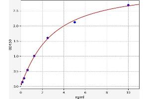 E-cadherin ELISA Kit