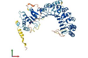 AlphaFold protein structure predicition of Human Recombinant PRAMEF1 Protein, UniprotID O95521