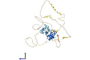 Protein Structure (PS) image for Lymphocyte Cytosolic Protein 2 (SH2 Domain Containing Leukocyte Protein of 76kDa) (LCP2) (AA 1-533) protein (His tag) (ABIN7557616)