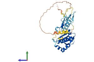 AlphaFold protein structure predicition of Human Recombinant GRXCR1 Protein, UniprotID A8MXD5